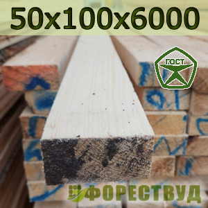 50x100gost